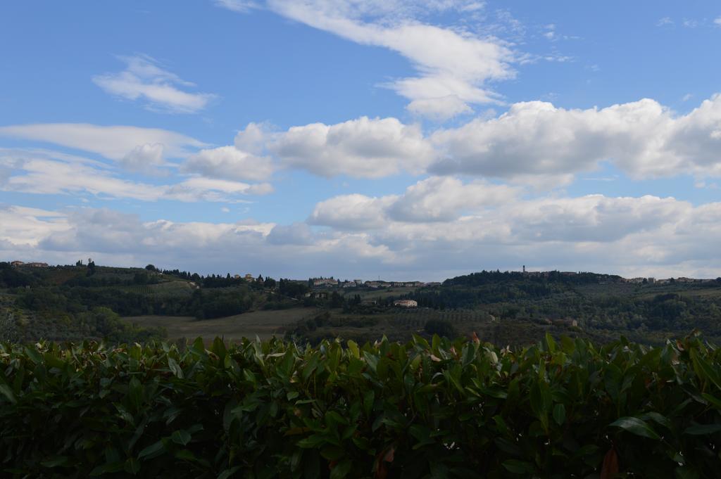 Oliveta Apartment Tavarnelle Val di Pesa ห้อง รูปภาพ